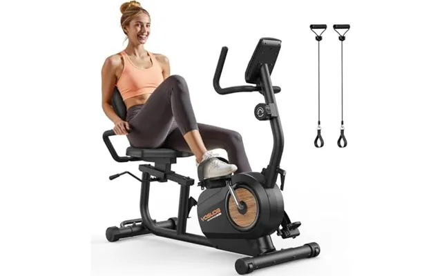 Yosuda Recumbent Exercise Bike - 16-level Resistance