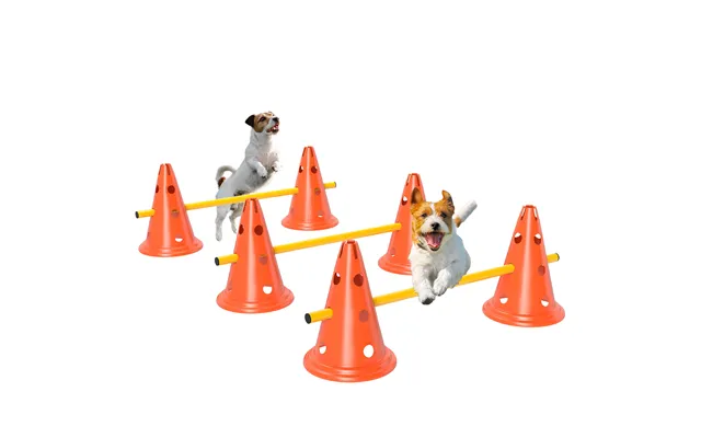 Pawhut Dog Agility Equipment Set Of 6 Cones - 6 Poles With Carry Bag