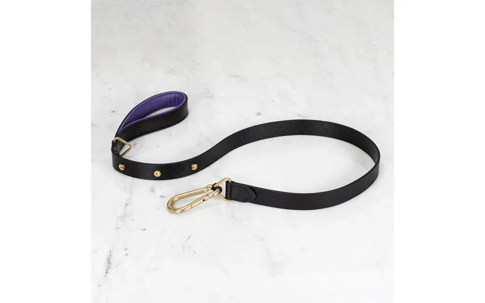 Buster Punch Rpa-02779 Hand Crafted - 27mm Dog Lead Black Purple