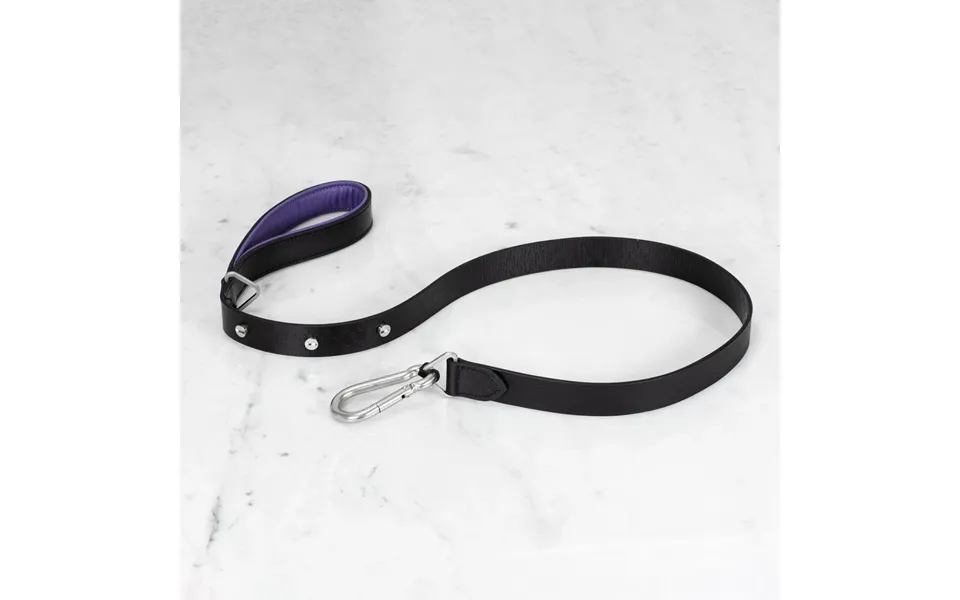 Buster Punch Rpa-02780 Hand Crafted - 27mm Dog Lead Black Purple