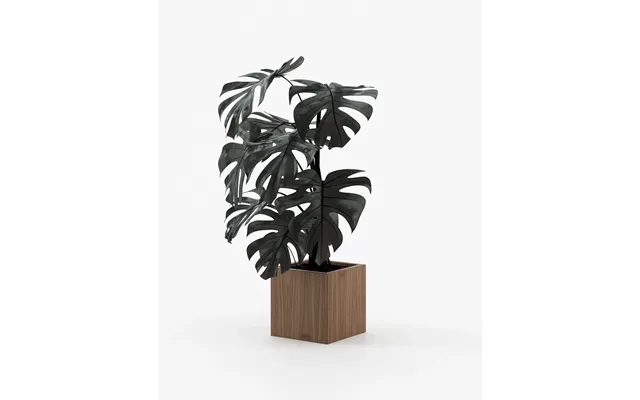 Laskasas Stela Planter & Pot Walnut Veneer Matte