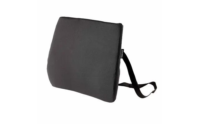 Fellowes Back Support For Office Chair Breyta Comfort Back Cushion