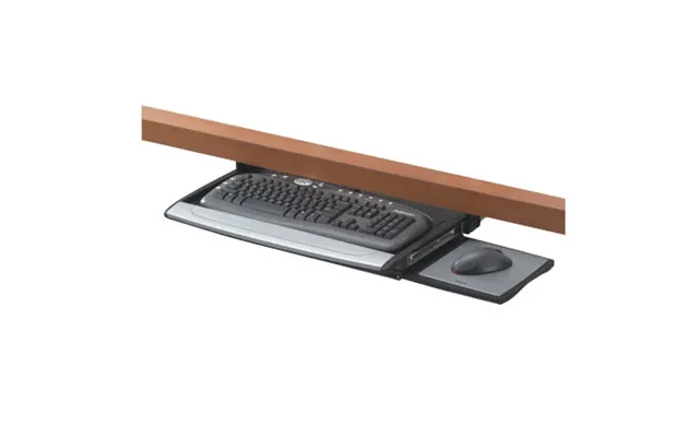 Fellowes Deluxe