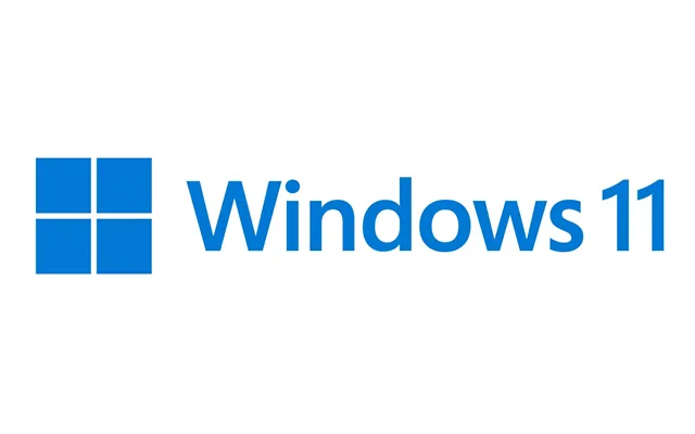 Microsoft Windows 11 Pro For Workstations 1 License S