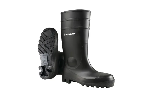 Dunlop Protomastor Male Adult Black