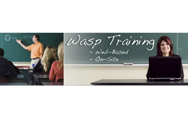Wasp 2-hr Training Service Via Web Service Management