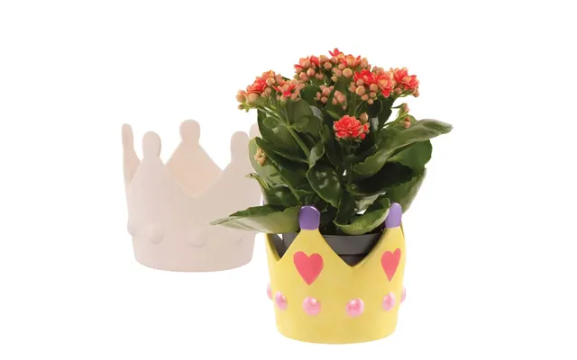 Princess Crown Ceramic Flowerpots Box Of 2 Nature Craft Kits