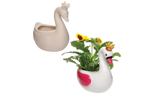 Swan Princess Ceramic Flowerpots Box Of 2 Nature Craft Kits