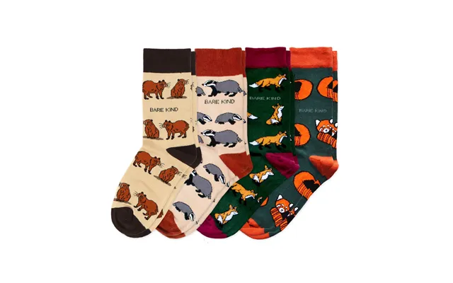 Earthy 4 Pack Bamboo Sock Set Uk Adult 7-11 product image