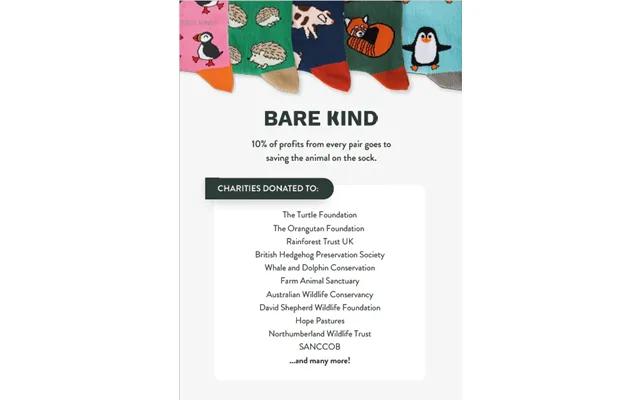 Posters For Retail Pos 2026 Charity List A4