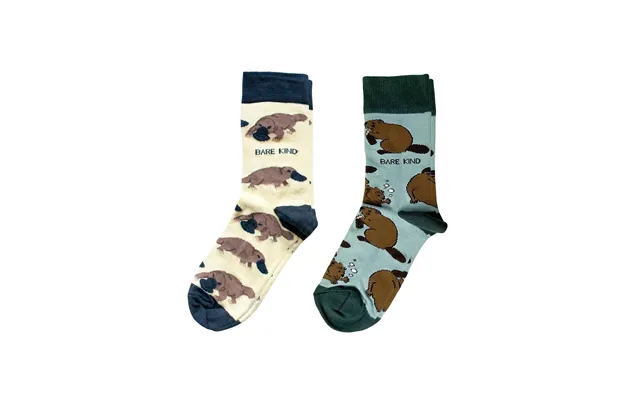 The Paddle Tail Duo Bundle Of 2 Uk Adult 4-7 product image