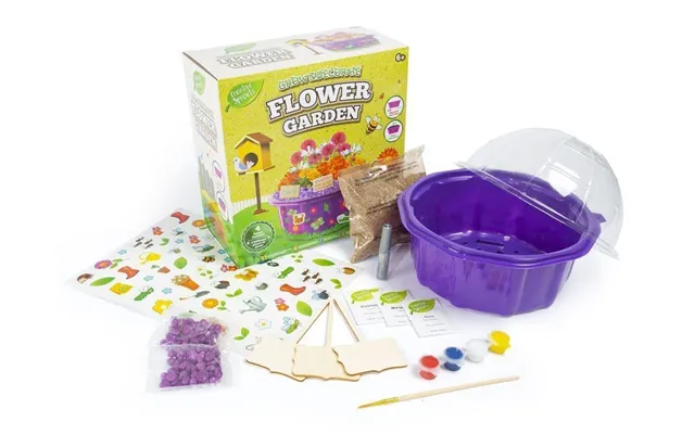 Creative Sprouts Grow And Decorate Flower Garden