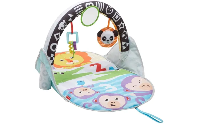 Fisher-price 2-in-1 Flip And Fun Activity Gym