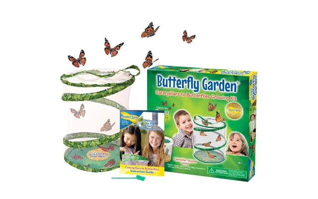 Insect Lore Butterfly Garden