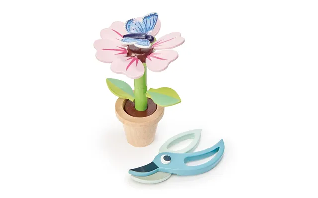 Blossom Flowerpot Set