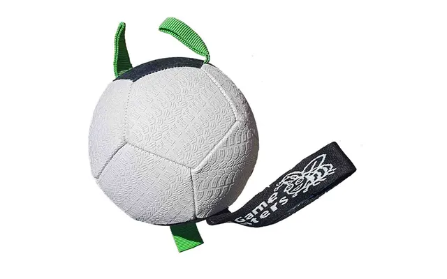 Dog Balls - Floating & Durable product image