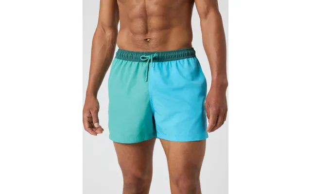 Borg Blocked Swim Shorts product image