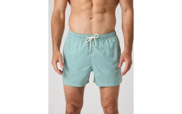 Borg Print Swim Shorts