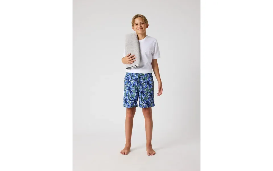 Borg Print Swim Shorts
