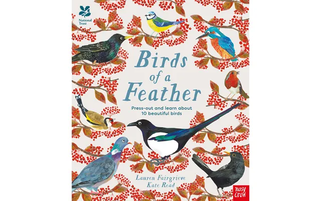 National Trust Birds Of A Feather Press Out And Learn About 10 Beautiful Birds
