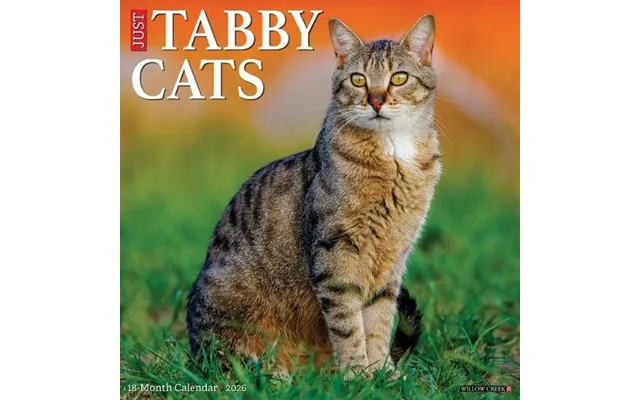 Tabby Cats 2026 Wall Calendar