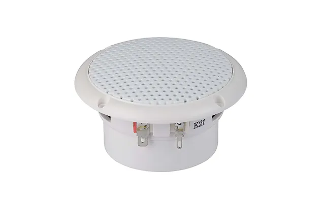Visaton Fr 8 Wp - 4 Ohm Saltwater Resistant 8 Cm 3.3 Full-range Speaker