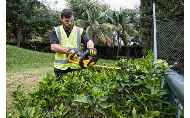 Dewalt Dcm563pb-xj Cordless Hedge Trimmer 18v Body Only