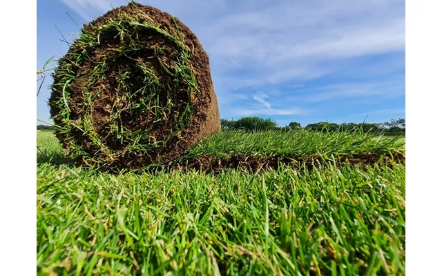 Hallstone Turf - Per M2