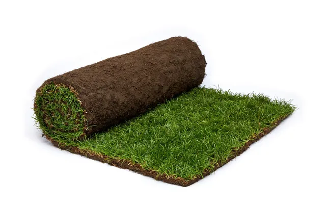 Rolawn Medallion Turf - Per 610mm X 1.64mtr Cut