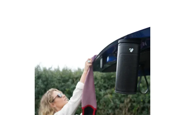 Pine Beat Speaker - Tiny Home Set By Poca Audio