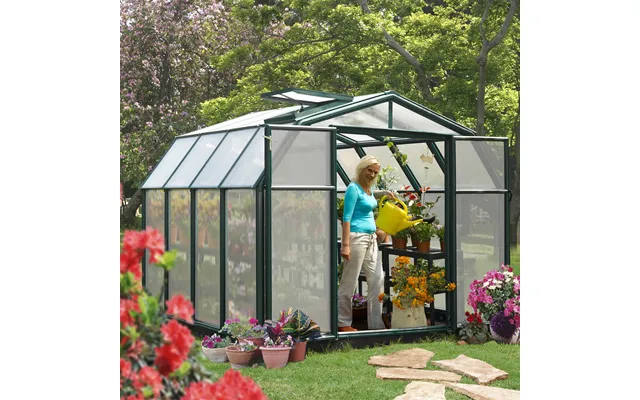 8'x8' Palram Canopia Rion Hobby Gardener Walk In Green Greenhouse 2