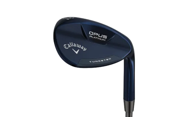 Opus Platinum Blue Wedges