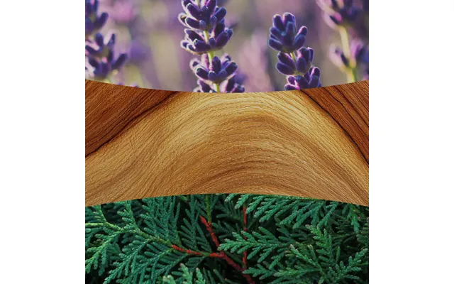 Lavender And Cedar
