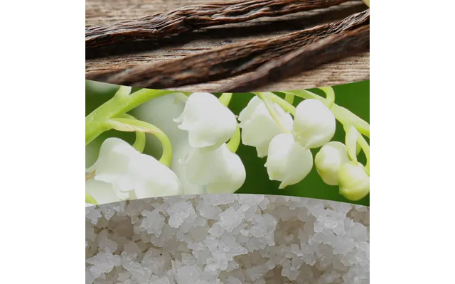 Vanilla And Sea Salt