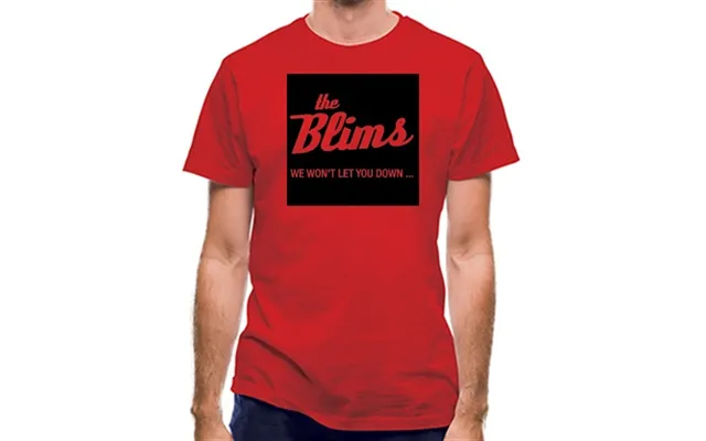 The Blims We Won't Let You Down Classic Fit.