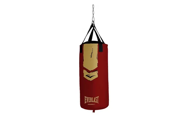 Everlast Prospect Heavy 2ft Bag Kit Red With Boxing Gloves