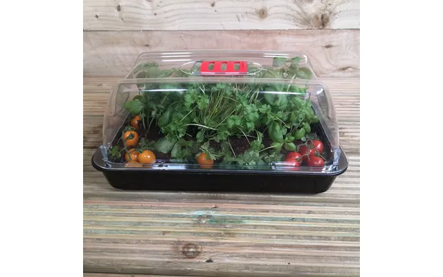 6 X 38cm Unheated Seed Starter Tray Grostart Midi Propagator Indoor Seedling Planter product image