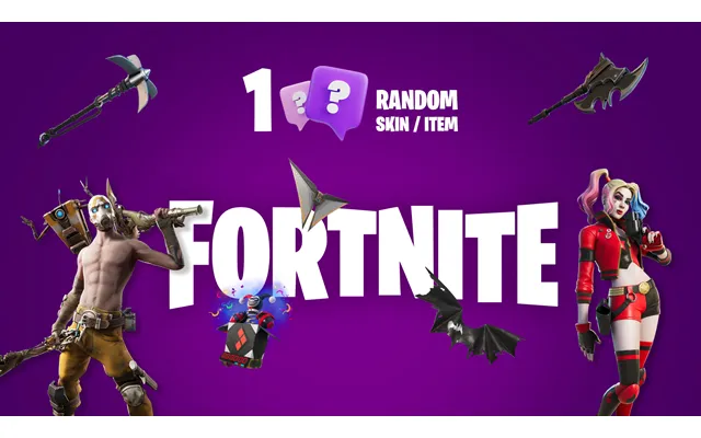 1 Random Fortnite Skin Item Epic Games Key