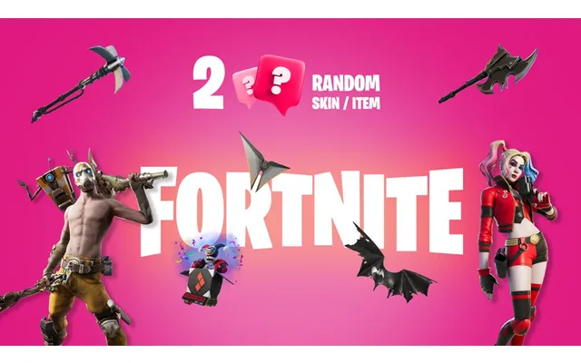 2 Random Fortnite Skins Items Epic Games Key
