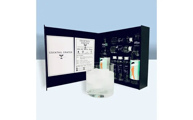 Sour Fizz - Gin And Tonic Cocktail Gift Box