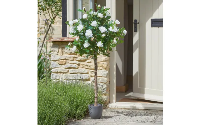 120cm Regent's Roses White product image