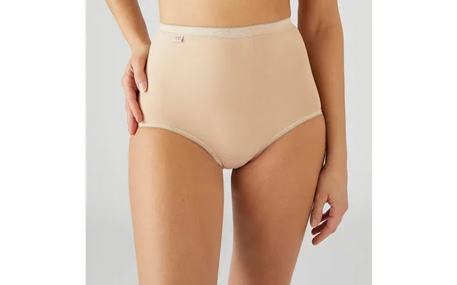 24 Skintone 3 Pack Sloggi Basic Maxi Briefs