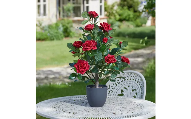 60cm Regent's Roses Ruby Red product image