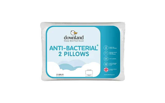 Anti Bacterial Pillow Pair