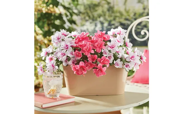 Artificial Flowers Azalea Picks - 2x Light Pink