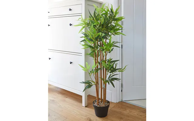 Bamboo Potted Plant product image
