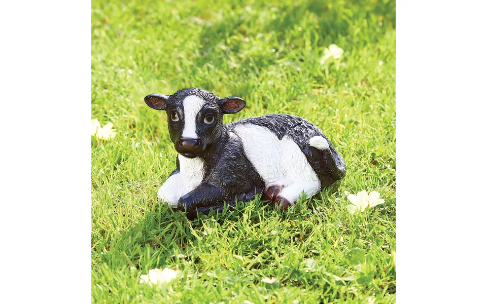 Buttercup Baby Cow