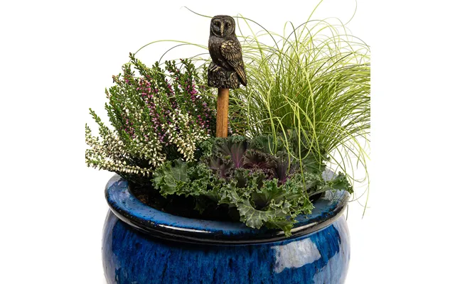 Cane Companions - Owl product image