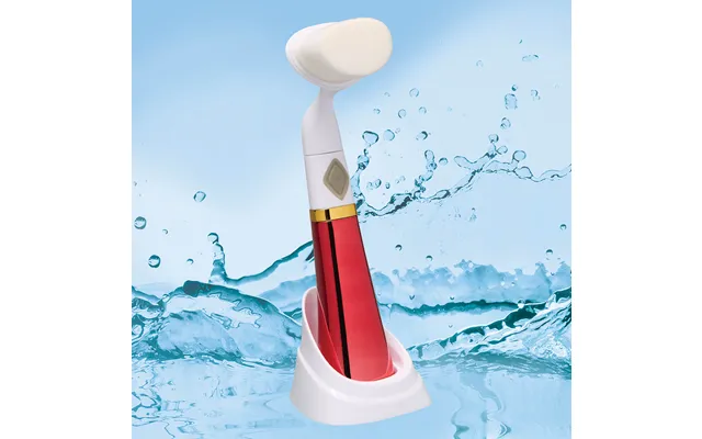 Cleaning Brush