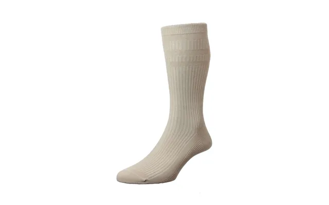 Cotton Softop 2 Pair Oat 6-11 Socks product image